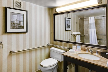 Deluxe Room, 1 King Bed, Non Smoking