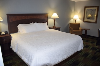 Room, 1 King Bed, Non Smoking