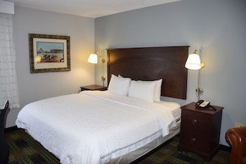 Room, 1 King Bed, Non Smoking
