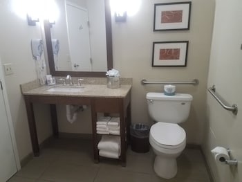 Business Room, 1 King Bed, Accessible, Non Smoking (Upgrade)