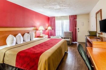 Room, 1 King Bed, Accessible, Non Smoking