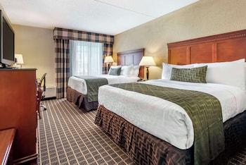 Standard Room, 2 Queen Beds, Non Smoking, Refrigerator