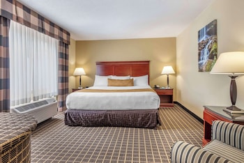 Suite, 1 King Bed, Non Smoking, Jetted Tub (with Sofabed)