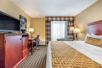 Standard Room, 1 King Bed, Non Smoking, Refrigerator