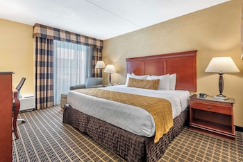 Standard Room, 1 King Bed, Non Smoking, Refrigerator