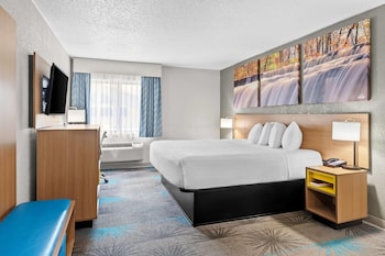 Standard Room, 1 King Bed