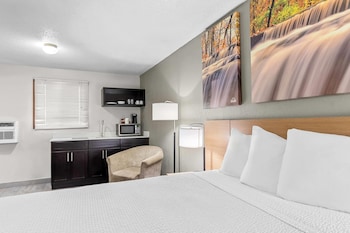 Efficiency, Standard Room, 1 Queen Bed