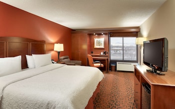 Room, 1 King Bed, Non Smoking