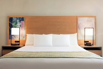 Room, 1 King Bed, Non Smoking, Patio