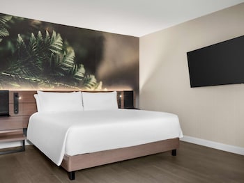 Junior Suite (Executive)