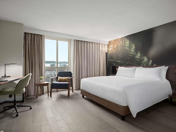 Executive Room, 1 King Bed