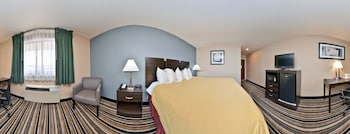 Room, 1 King Bed, Accessible, Non Smoking (Mobility, Roll-In Shower)