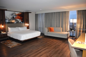 Room, 1 King Bed (Mobility/Hearing Access, Roll-In Shwr)