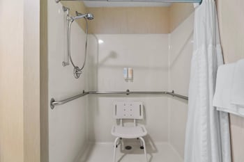 Suite, 1 King Bed with Sofa bed, Accessible, Non Smoking (Efficiency)