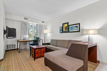 Suite, 1 King Bed with Sofa bed, Non Smoking