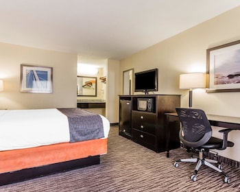 Standard Room, 1 King Bed, Non Smoking