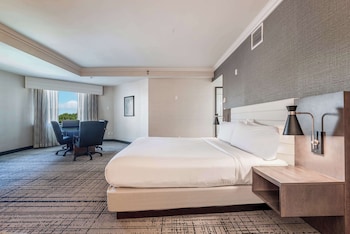 Junior Suite, 1 King Bed