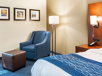 Standard Room, 1 King Bed, Non Smoking