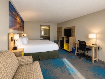 Room, 1 King Bed, Accessible, Non Smoking