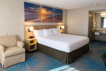 Room, 1 King Bed, Non Smoking (Pet-friendly)