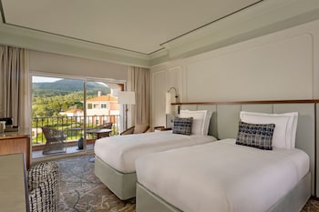 Deluxe Room, Park View