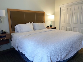 Suite, 1 King Bed