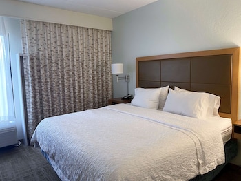 Suite, 1 King Bed