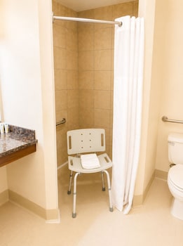 1 Queen Bed, Mobility Accessible Room, Roll-In Shower, Non-Smoking