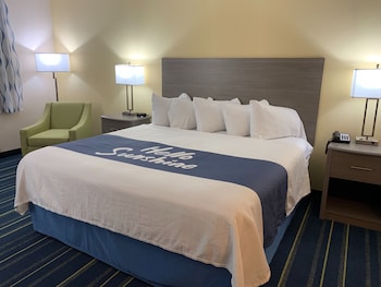 Room, 1 King Bed, Non Smoking