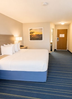 Room, 1 King Bed, Non Smoking