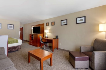 Suite, 1 King Bed with Sofa bed, Non Smoking (Upgrade)