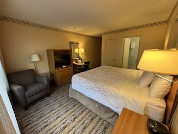 Room, 1 King Bed, Non Smoking, City View