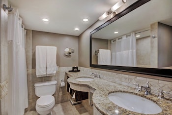 Executive Suite, 1 King Bed with Sofa bed