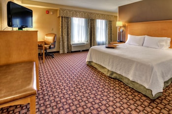 ADA Accessible, Room, 1 King Bed, Bathtub
