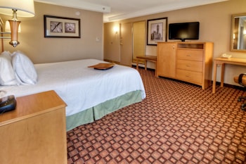 ADA Accessible, Room, 1 King Bed, Bathtub