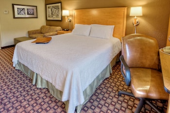Studio, 1 King Bed with Sofa bed, Non Smoking