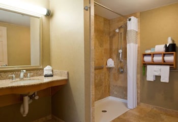 ADA Accessible, Room, 1 King Bed (Roll-In Shower)