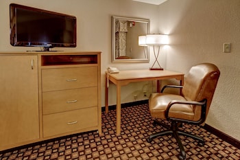 ADA Accessible, Room, 1 King Bed, Bathtub