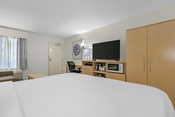 Standard Room, 1 King Bed, Refrigerator & Microwave, Mountain View