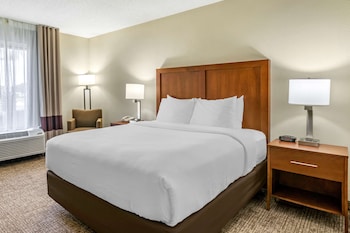 Deluxe Suite, 1 King Bed with Sofa bed, Non Smoking (1 Person Sofa Bed)