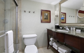 King Suite, 1 King Bed with Sofa bed, Non Smoking