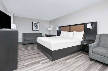 Room, 1 King Bed, Non Smoking