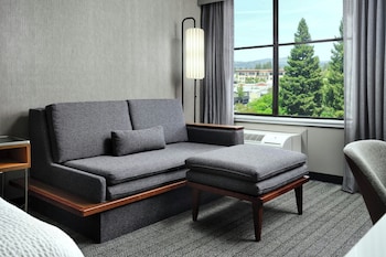Room, 1 King Bed with Sofa bed (Hearing Accessible)