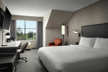 Room, 1 King Bed