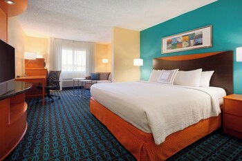 Executive Suite, 1 King Bed with Sofa bed