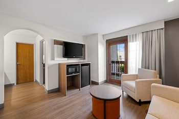 Suite, 1 King Bed with Sofa bed, Non Smoking (Upgrade)