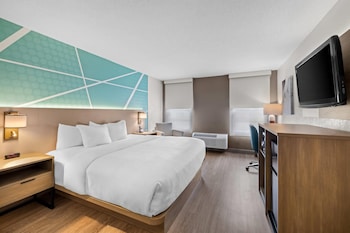 Room, 1 King Bed, Accessible, Non Smoking