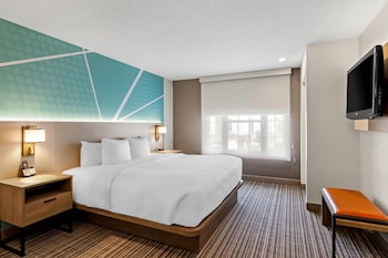 Suite, 1 King Bed with Sofa bed, Non Smoking (Upgrade)