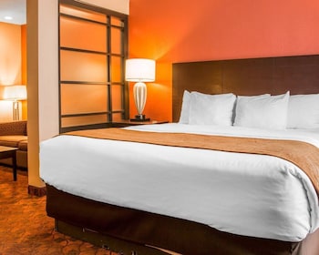 Suite, 1 Bedroom, Non Smoking (1 King and 2 Person Sofa Bed)
