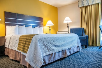 Standard Room, 1 King Bed, Non Smoking, Refrigerator